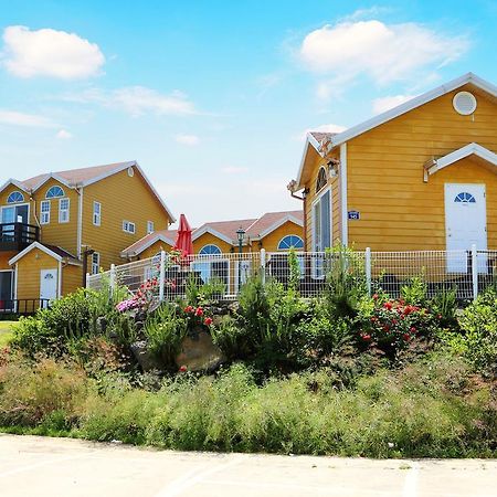 Villa Healing House Seogwipo Esterno foto