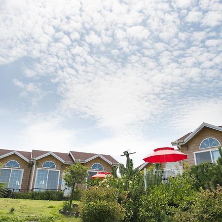 Villa Healing House Seogwipo Esterno foto