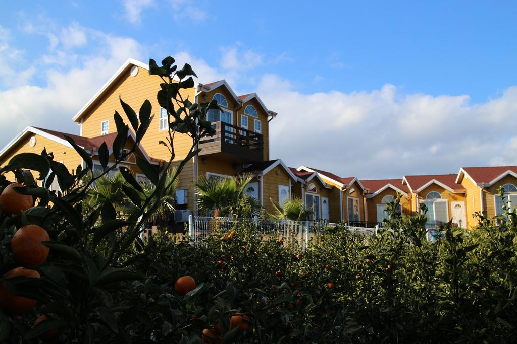 Villa Healing House Seogwipo Esterno foto