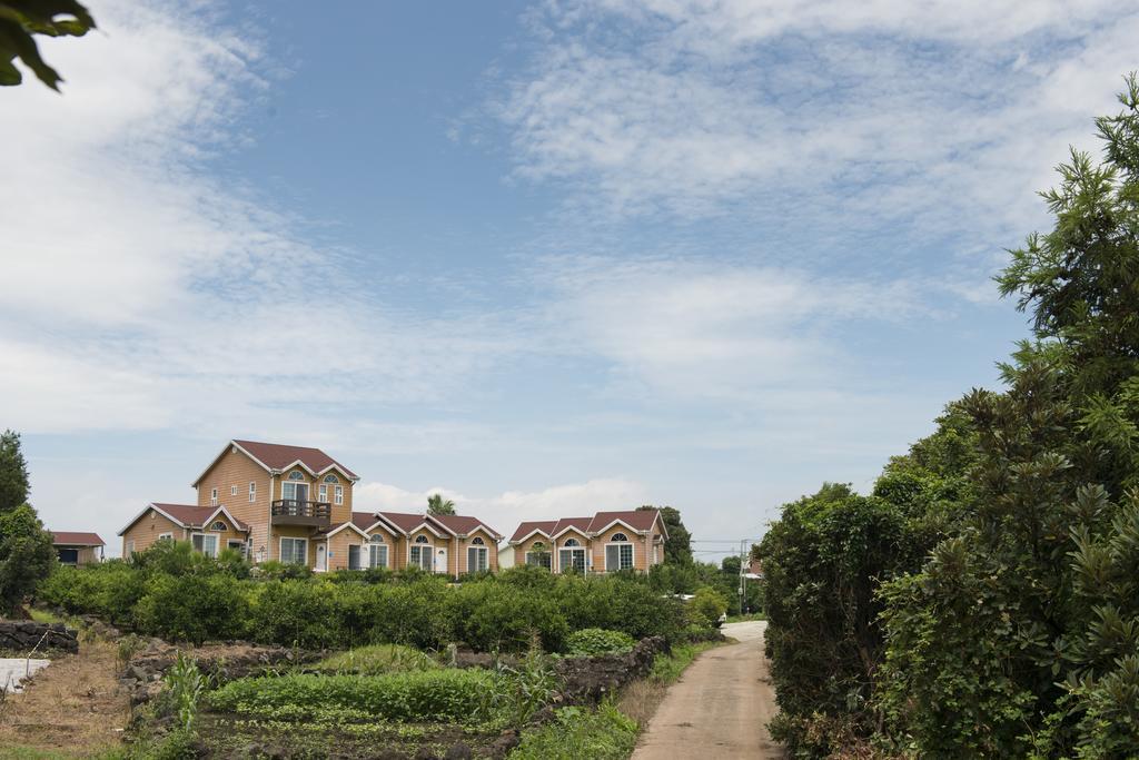 Villa Healing House Seogwipo Esterno foto