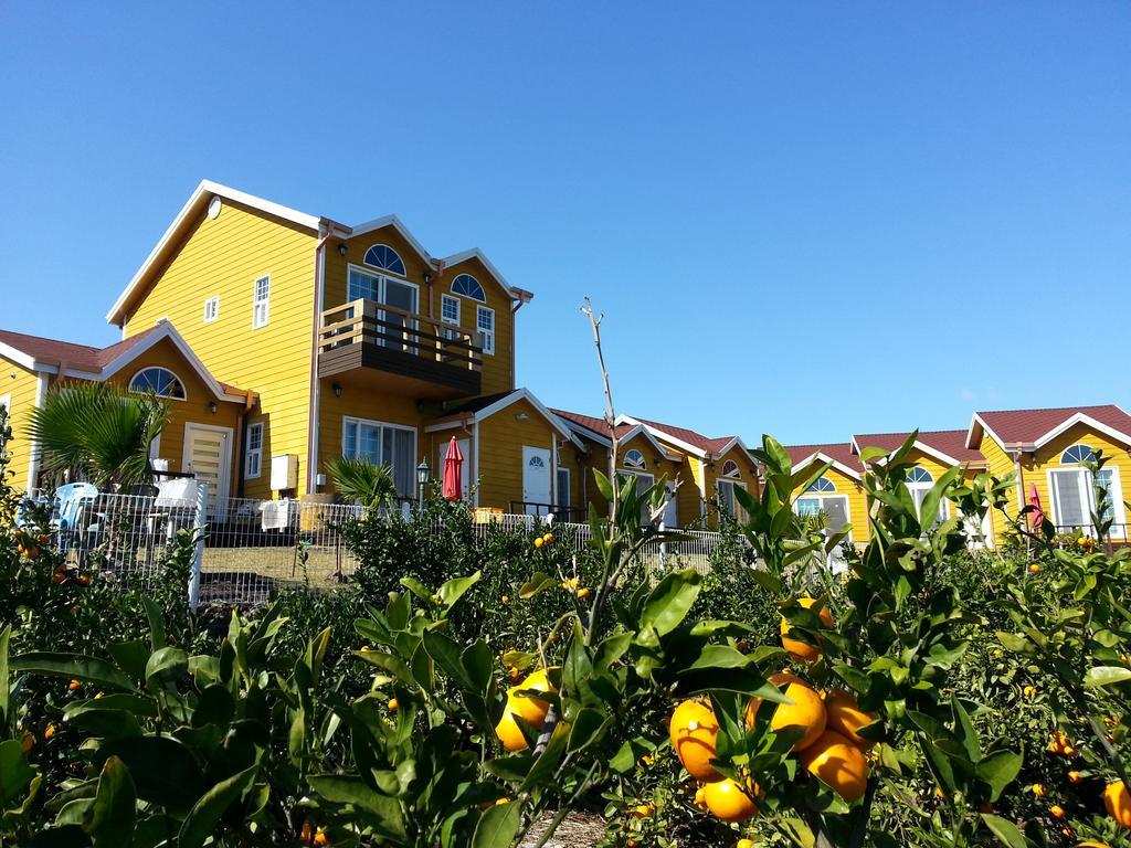 Villa Healing House Seogwipo Esterno foto